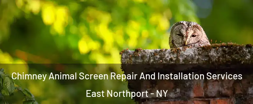  Chimney Animal Screen Repair And Installation Services East Northport - NY