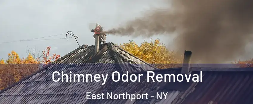  Chimney Odor Removal East Northport - NY