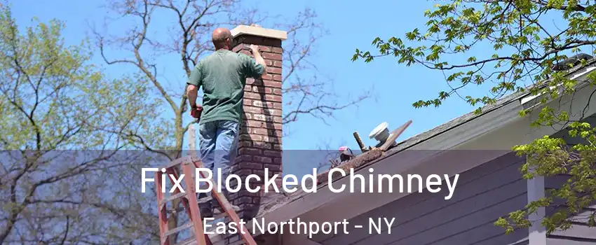  Fix Blocked Chimney East Northport - NY
