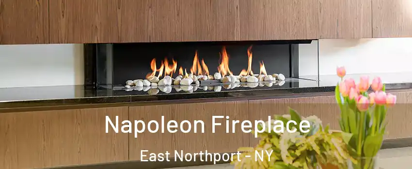  Napoleon Fireplace East Northport - NY